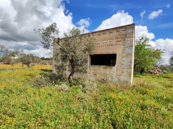 Terreno in vendita in via Santeramo in Colle ad Altamura
